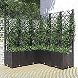 BULANED Pflanzkübel mit Spalier, Blumentopf Gross, Blumenkasten Balkon, übertopf, Pflanzkasten, Flowerpot, Kräuterbeet Für Die Küche, Vertikalbeet, Pflanzbehälter, Schwarz 120x120x136 cm PP