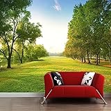 Fototapete Tapete Grüner Waldweg Natur Landschaft Foto TV Sofa Hintergrund Zuhause Moderne Wandtapete 3D Wandbilder Tapeten Wohnzimmer Schlafzimmer Wand Dekoration 450x315cm Tongshunj2890