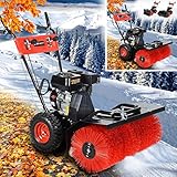 BRAST Benzin Kehrmaschine | Laubsammler Motorbesen | 4,8kW(6,5PS) | viele Modelle | 80-100cm Arbeitsbreite | 2in1 Gerät
