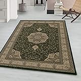Orientteppich Kurzflor Orientalischer Teppich, Klassisch Oriental Ornament Medaillon Design, Rechteckig, grün Farbe, Wohnzimmerteppich, Größe:300 x 400 cm