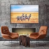 TuoDa Diamant Painting Bilder für Erwachsene,Afrikanisches Grasland Zebra Diamond Painting Set,5D DIY Vollbohrer Strass Stickerei Kreuzstich Diamant Kunst Wohnzimmer Wand Deko Square Drill,40x60cm