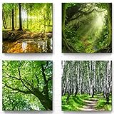 Wald und Bäume als Leinwand-Bilder zur Deko - jedes Bild ist 30x30cm - 4-teiliges Landschaftsbilder Set, aufhängefertige Moderne Naturbilder für Wohnzimmer Schlafzimmer Set-A, Grün