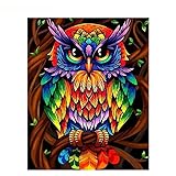 LIUJUNH Eule Malen nach Zahlen auf Leinwand Acrylfarbe für Erwachsene DIY Kits Bild Zeichnung Malen nach Zahlen mit Rahmen Home Decor Art A8 40x50cm