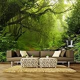 Fototapete 3D Stereo Urwald Natur Landschaft Wandbild Wohnzimmer Sofa TV Schlafzimmer Hintergrund Wand,300x210cm