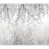 murando PREMIUM Fototapete Abstrakt 500x350 cm Vlies Tapeten Wandtapete XXL Moderne Wanddeko Design Wand Dekoration Wohnzimmer Schlafzimmer Büro Flur Botanik Wald wie gemalt Baum b-C-0840-a-a