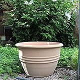 Palatina Werkstatt, Terracotta Pflanzkübel frostfester Blumentopf in verschiedenen Größen, Garten Terrasse Vernonica (40 cm)