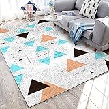 Area Rugs Nordic Living Room Sofa Big Carpet Modern Minimalist Style Home Bedroom Bedside Carpet Cute Mats Home Entrance Mats Home Decorative Carpets (6 Größen)