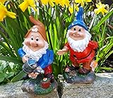 LB H&F 2 x Gartenzwerge Dekofigur Set lustige Zwerge Gartendeko Figur - wetterfest - frostsicher Gartenzwergeset außen 16,5x10cm Groß B+B (Set 2)