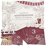 Saatgut Adventskalender 2022 : Nachhaltiger Samen Adventskalender 2022 für Kräuter, Obst, Gemüse – Adventskalender Garten – Adventskalender Neuheiten 2022 – Adventskalender 2022 Saatgut von OwnGrown