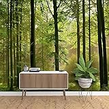 Tapete Fototapete 3d Effekt Naturlandschaft Urwald（200cm×140cm） Wandbild Wandtapete Hauptdekorationen für Wohnzimmer Schlafzimmer-Grün