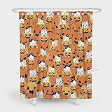 SHENGJUN 183 x 183 cm Halloween Kürbis Duschvorhang Orange Katze Cartoon Herbst Herbst Schritt und Wiederholung Kinder Kinder Junge Badezimmer Dekor mit 12 Haken