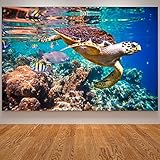 PHOLK Wanddeko Schildkröte Wand Bilder Leinwand Gemälde Ozean Meeresschildkröte Gemälde Tier Moderne Wandbilder für Wohnzimmer Badezimmer Schlafzimmer Heimdekoration 20x30cm x1 Rahmenlos