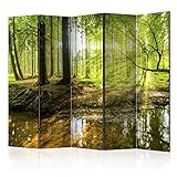 murando Raumteiler Wald Baum Natur Foto Paravent 225x172 cm beidseitig auf Vlies-Leinwand Bedruckt Trennwand Spanische Wand Sichtschutz Raumtrenner Home Office grün c-B-0183-z-c