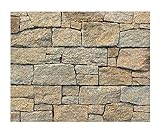 W-003 Wanddesign Wandverblender Steinwand Granit Wandverkleidung - 1 Muster - Natursteinfliesen Lager Verkauf Stein-Mosaik Herne NRW