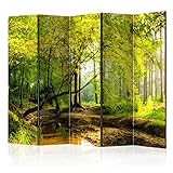 murando Raumteiler Foto Paravent Natur 225x172 cm beidseitig auf Vlies-Leinwand Bedruckt Trennwand Spanische Wand Sichtschutz Raumtrenner Home Office Wald c-B-0354-z-c