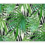 murando PREMIUM Fototapete Blätter grün 500x350 cm Vlies Tapeten Wandtapete XXL Moderne Wanddeko Design Wand Dekoration Wohnzimmer Schlafzimmer Büro Flur Tropisch Pflanzenmotiv b-B-0280-a-a