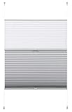 GARDINIA EASYFIX Day + Night Plissee ohne Bohren, Zum Klemmen, Falt-Rollo, Ideal für Tag und Nacht, Inkl. aller Montage-Teile, Weiß, 90 x 210 cm