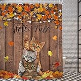 AMBZEK Hello Fall Cats Duschvorhang, 152 x 183 cm, Herbst-Ahornblätter, Ernte, lustig, niedliche Tiere, Holzbrett, rustikales Landhaus-Vintage-Kunststoff, Badezimmer-Dekor-Set, 12 Stück Haken