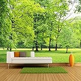 Fototapete Tapete Grüner Wald 3D Foto Hintergrund Wanddekorationen Wohnzimmer Schlafcouch Zimmer Modern Stroh wohnzimmer tapeten tapete wand für schlafzimmer retro geometrisch fototapete-150cm×105cm