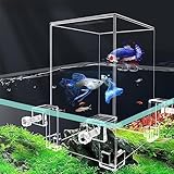 TREELF Komplettes Set aus Negativdruck Aquarium Ökologisches Aquarium mit Landschaftsbau und Dekoration für kleine Räume Wohnzimmer oder Desktop Betta Aquarium