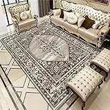Terrassen Teppich Terrassen Teppich Kaffeefarbe Retro-Teppich hell Luxus-Wohnzimmer Schlafzimmer für Erwachsene Lounge Bürobereich Küche Esszimmer rutschfest und pflegeleicht Teppich Mädchen Jugendzim