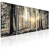 murando - Bilder Wald 200x80 cm Vlies Leinwandbild 5 tlg Kunstdruck modern Wandbilder XXL Wanddekoration Design Wand Bild - Waldlandschaft Natur Panorama Baum c-C-0177-b-o