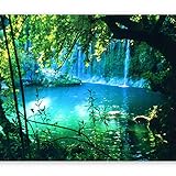 murando Fototapete selbstklebend Natur 245x175 cm Tapete Wandtapete Klebefolie Dekorfolie Tapetenfolie Wand Dekoration Wandaufkleber Wohnzimmer Landschaft Wasserfall c-B-0132-a-a