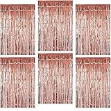 O-Kinee Lametta Vorhang Rosegold,Folienvorhänge Rosegold,6 Stücke Folie Fringe Vorhang, Metallisch Folienfransen Vorhängen Tinsel Curtain,Glitzer Vorhang Geburtstagsdeko Funkeln Dekoration(1m x 2m)