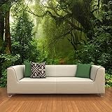 Fototapete Tapete Urwald-Natur-Landschaft groß für TV-Foto Moderne Wandtapete 3D Wandbilder Tapeten Wohnzimmer Schlafzimmer Wand Dekoration 150x105cm Tongshunj2947