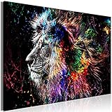 murando - Bilder Tiere 120x80 cm Vlies Leinwandbild 1 tlg Kunstdruck modern Wandbilder XXL Wanddekoration Design Wand Bild - Löwe bunt Gesicht Abstrakt g-C-0269-b-a