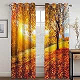 KDGGLUCK Herbst-Ahornblatt, natürliche Landschaft, Wald, Sonnenuntergang, Schattierung, Fenstervorhang, Landschaft für Wohnzimmer, Schlafzimmer, Dekor, Haken – 137 x 241 cm (B x H), 54 x 95 Zoll x 2