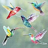 10 Stück Aquarell Kolibri Fliegengittertür Magnete Dekorative Flexible Doppelseitige Magnetische Aufkleber für Bildschirmtür Balkontür Dekoration und Durchlaufschutz (Frisch Stil)