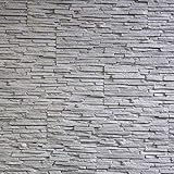 EPS-Schaumstoff Verblendsteine Tasso Ultraleicht - Wanddekoration/Fliesen/Verblendstein/Wandplatten (grau)