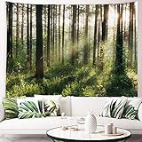 ORTIGIA Wandteppich Wald Sonnenlicht Baum Wandbehang Natur Landschaft Ästhetisch Wandtuch Sunshine Forest Tree Tapestry Dekoration für Schlafzimmer Wohnzimmer Kinderzimmer 150x200cm