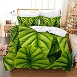 YINGYINGGUAI Bettwäsche 200x200 Grün Blätter Bettbezug 200x200 cm mit Reißverschluss, Doppelt Bettwäsche Set Mikrofaser Atmungsaktive Weicher mit 2 Kopfkissenbezug 80x80 cm