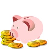 Einfache Budget Manager