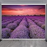 Rollo Lila Fensterwalzen Jalousien - Meer Von Blumen, Thermisch Isolierte Badezimmer Verdunkelungsrollos Dekor, Verdunkelungsrollos für Innenräume, Einfache Montage (Size : 140cmx220cm/55.1inx86.6in