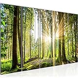 Runa Art Wandbild XXL Wald Landschaft 200 x 80 cm Grün 5 Teilig - Made in Germany - 503855b