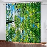 Verdunkelungsvorhang Kinderzimmer Mädchen Junge Thermo Mit Ösen 3D Blauer Himmel Bäume Landschaft Muster 2Er Set H 210 X B 220 cm(H X B) Vorhänge Blickdicht Wohnzimmer Schlafzimmer Fenstergardinen Th