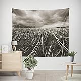 EHOMERY Wandteppich für Bett Wandschmuck Wohnzimmer Grasland Schwarz Und Weiß Wandteppich Indie Wanddekoration Teenager Wohnzimmer Schlafzimmer Wandbehang Dekoration 200x200cm