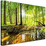 Feeby Wandbilder Wald Bäume Bach XXL 120x80 cm 1Teilig Vlies Bilder Leinwandbilder Bild auf Leinwand Kunstdruck Wohnzimmer Schlafzimmer Wanddeko Design Wurzeln Sonnenstrahlen Grün