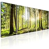 murando - Bilder Wald 200x80 cm Vlies Leinwandbild 5 tlg Kunstdruck modern Wandbilder XXL Wanddekoration Design Wand Bild - Waldlandschaft Natur Panorama Baum c-C-0177-b-n