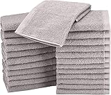 Amazon Basics Waschlappen/Mini Handtücher-Set aus Baumwolle, 24er-Pack - Schnelltrocknend, Ausbleichsicher und Wasserabsorbierend, 30L x 30B cm, Grau