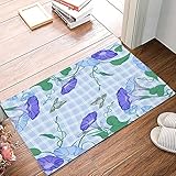 Badematten Lila Blumenschmetterlingeblaue Büffelebene Sauberlaufmatte Rutschfester Fußabtreter Saugfähige Seite Fußmatte Für Küche Eingang Schlafzimmer 40x60cm