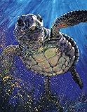 Decke Komfort Wärme weicher Plüsch Überwurf für Couch Meer Schildkröte edles Deko Tier, Polyester, blau, 127 cm x 203,20 cm