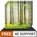 free green rainfall HD - entspannendes, regnerisches Ambiente zur Überwindung von Stress - eine App auf Ihrem HDR 8k 4k-Fernseher und Feuergeräten als Hintergrundbild und Thema für Vermittlung und Fri