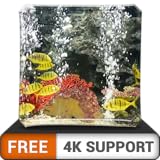 Kostenloses friedliches Aquarium HD - Dekorieren Sie Ihr Zimmer mit einem wunderschönen Aquarium für Meereslebewesen auf Ihrem HDR 4K-Fernseher, 8K-Fernseher und Feuergeräten als Hintergrundbild, Deko